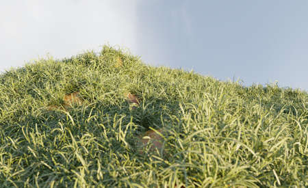 Green grass and hills nature scene 3D rendering wallpaper backgrounds