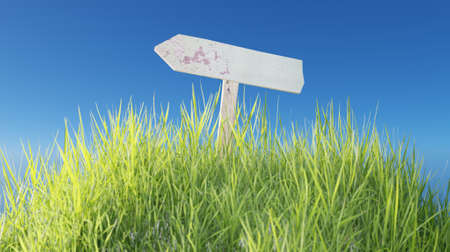 3d render green grass with wooden sign against blue sky nature scene wallpaper concept backgroundsの写真素材