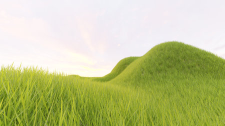 Green grass in the morning in summer nature scene 3D rendering wallpaper backgroundsの写真素材