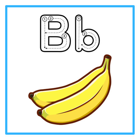 Introduction to the alphabet with examples. B is for banana. Suitable for children's practice and great for toddlers' flash cardsのイラスト素材