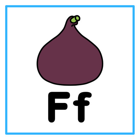 Introduction to the alphabet with examples. F is for fig fruit. Suitable for children's practice and great for toddlers' flash cardsのイラスト素材