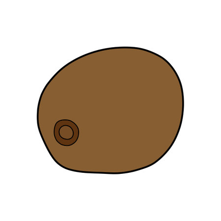 flat drawing of a kiwi for children. You can use it for children books, web design, posters, campaigns, and many more.のイラスト素材