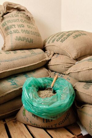 Raw coffee beans from Ethiopia