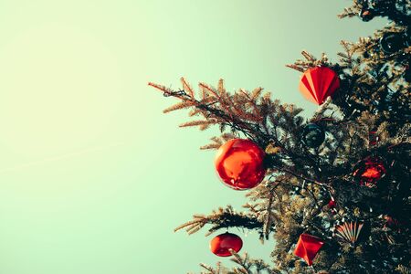Christmas Tree Decorations