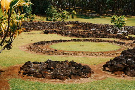 Keaiwaheiau in Honolulu, Hawaiiの写真素材