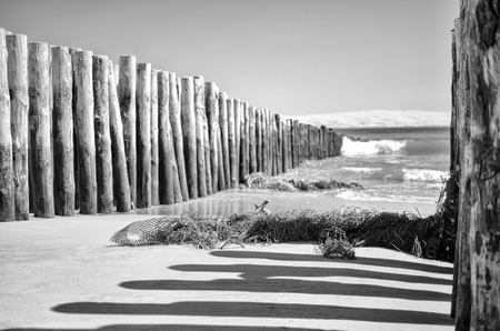 View of dune of Pilat from Cap Ferretの写真素材