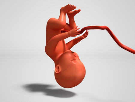 Child with umbilical tube upside down 3d render on gray background with shadowの写真素材