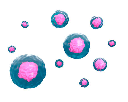 3d rendering organism cells illustration on white background