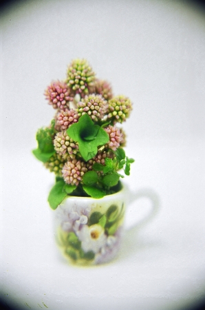 Mini Flowerの写真素材
