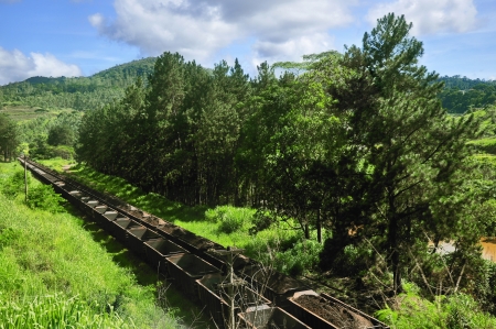 Minas Gerais Landscape and Trainの写真素材