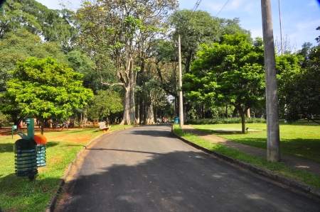 Urban Park Way Cの写真素材