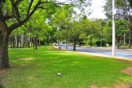 Park Urbanの写真素材