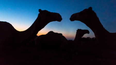 Erta Ale volcano Danakil depression Ethiopiaの写真素材