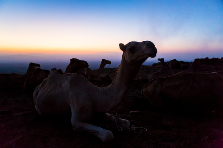 Erta Ale volcano Danakil depression Ethiopiaの写真素材