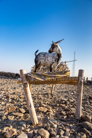 Danakil depression Ethiopia, Mekelle.の写真素材