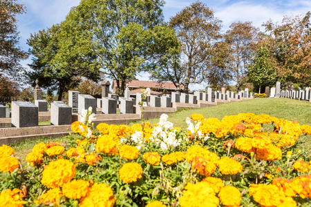 Titanic Cemetery. Place in the city of Halifax in Canada where the victims of the shipwreck were buried.のeditorial素材