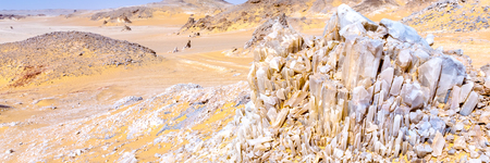 Abstract nature background.の写真素材