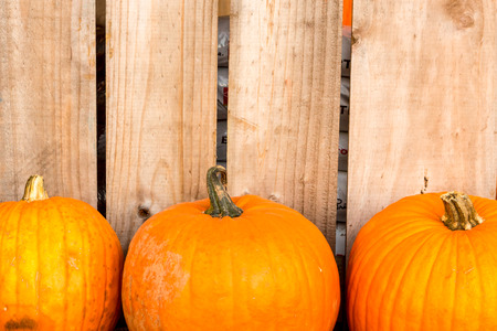 Harvest pumpkin rice straw background. Haloween party.の写真素材