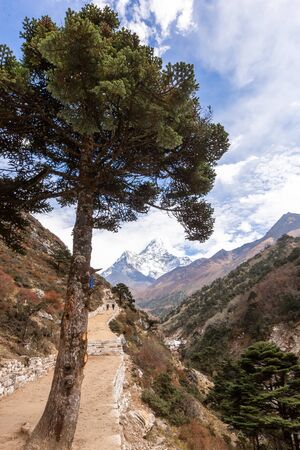 Trekking Everest Base Camp. Nepal. Asia.の写真素材