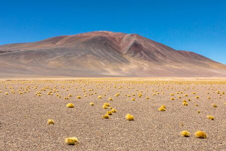 Atacama Desert, Chile. Salar Aguas Calientes. Lake Tuyacto. South America.の写真素材