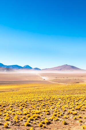 Scenic road in the Atacama desert, Chile. South America.の写真素材