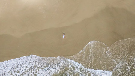 Santinho Beach in Florianopolis. Aerial view from drone. Brazil