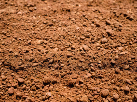 texture of agricultural land for planting cropsの素材