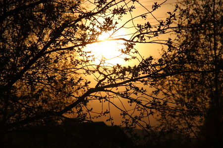 sunsetの写真素材