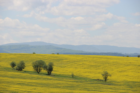 agricultureの写真素材