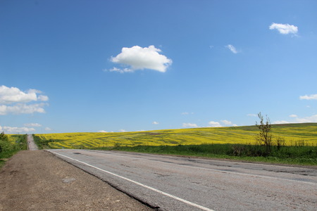 road and fieldの写真素材