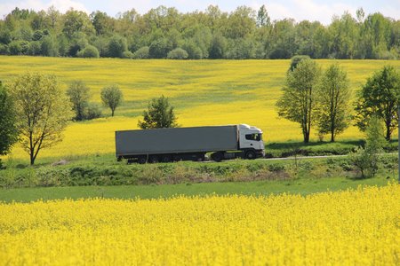 yellow fieldの写真素材