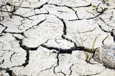 Dried cracked gray silt soil with grass.の写真素材