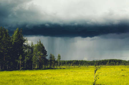 thundercloud and rain over the forest behind the swamps illuminated by the sunの写真素材