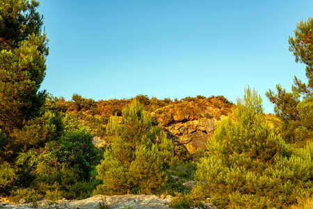 scenic mountain view surrounded by trees against a clear blue sky