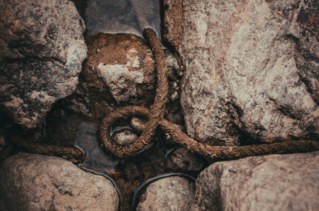 photographed from above wet old rope in water among stones