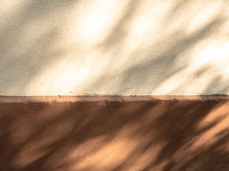 Rough two color painted building wall texture with tree branches shadows in the evening