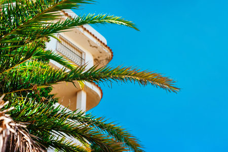 large green palm leaves against the backdrop of a house with balconies and a blue clear skyの写真素材
