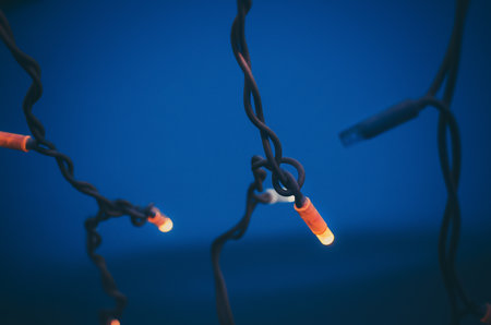 Close up photo of a small bright yellow flowerの写真素材