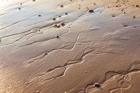 Curved water trails on a sand of a seashoreの写真素材