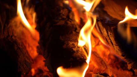 Burning Log Fire Flames in Fireplace Close-up Slow Motionの写真素材