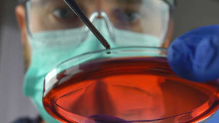 Lab Technician Mixing Multicolor Liquids in Glass Petri Dish in Protective Wearの写真素材
