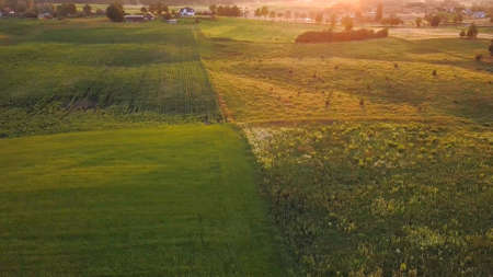 Aerial of Farmland Scenic Landscape at Sunrise