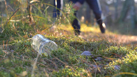 Picking Up Trash Cans and Bottles in Forest with Backlight Sunrise Lightの写真素材