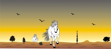 wild horses through a desertic area,のイラスト素材