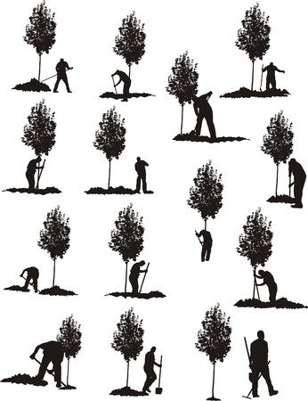 TREE PLANTINGのイラスト素材