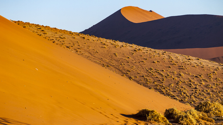 Dunes in the Namib Naukluft National Park, Sesriem, Namibiaの写真素材