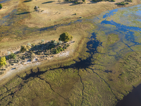 Okavango Delta, Botswanaの写真素材