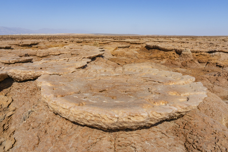 Concretions of salt rocks in the Danakil Depression in Ethiopia, Africa.の写真素材