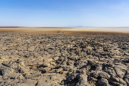 Concretions of salt rocks at Dallol in the Danakil Depression in Ethiopia, Africa.の写真素材