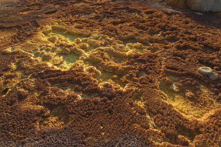 Acid and salty concretions on Dallol site in the Danakil Depression in Ethiopia, Africaの写真素材
